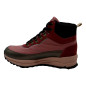   - NPID260000079